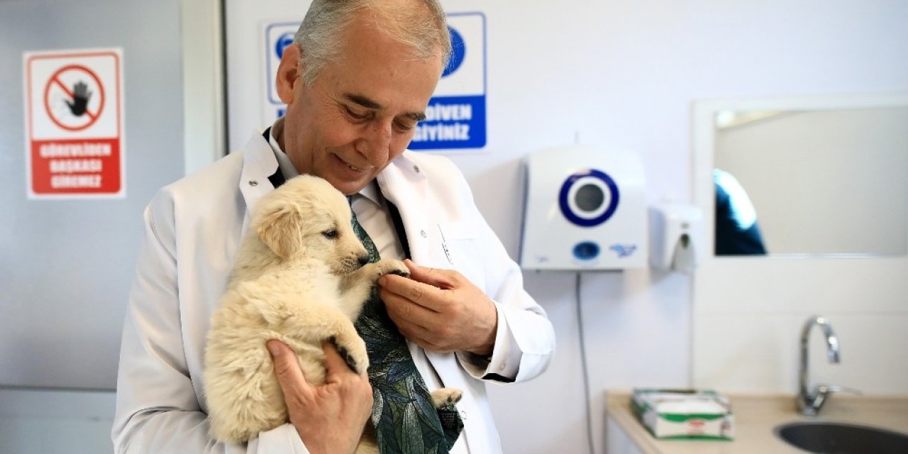 Can dostlar Büyükşehire emanet