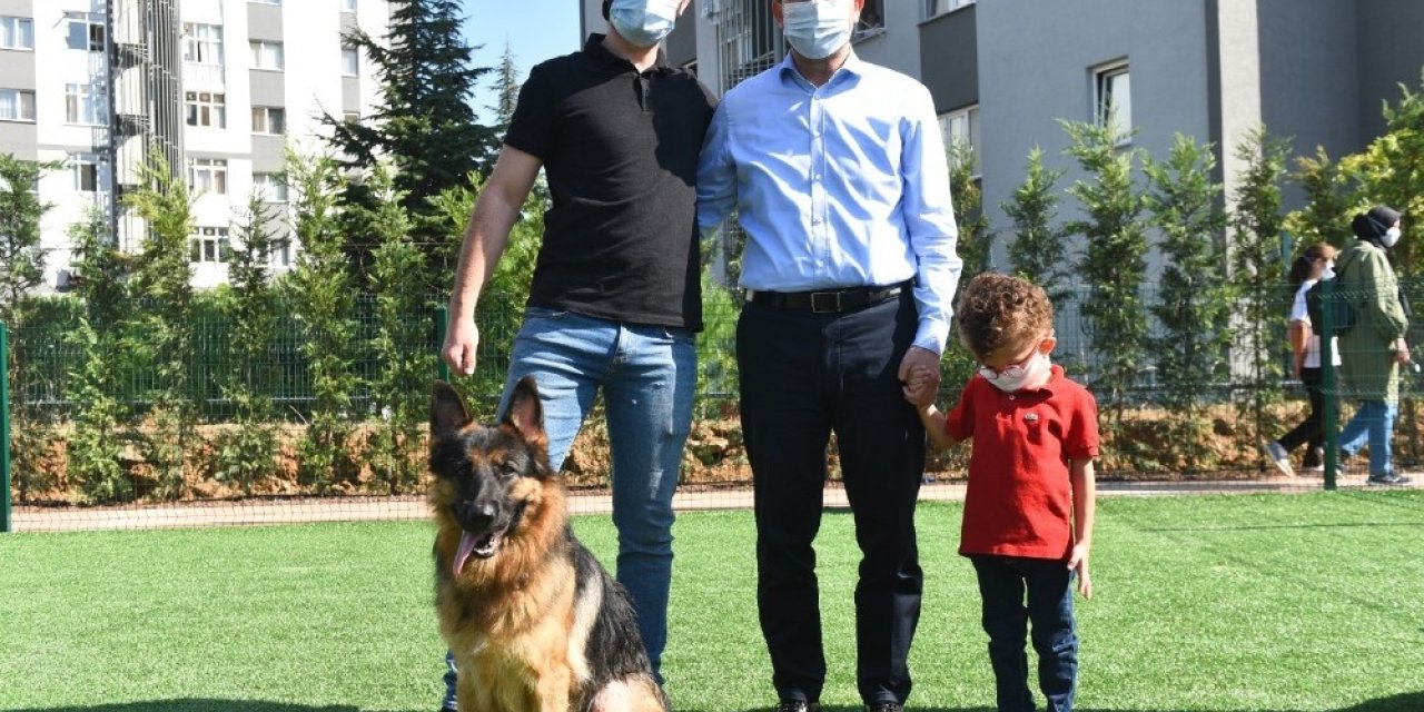 Hayvanları Koruma Günü’nde Pendik’te Neşeli Patiler Köpek Eğitim Parkı açıldı