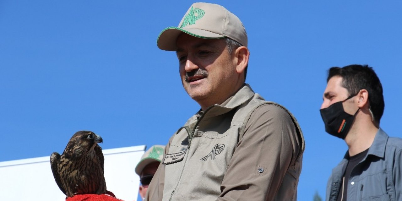 Bakan Pakdemirli Hayvanları Koruma Günü’nde yaban hayvanlarını doğa ile buluşturdu