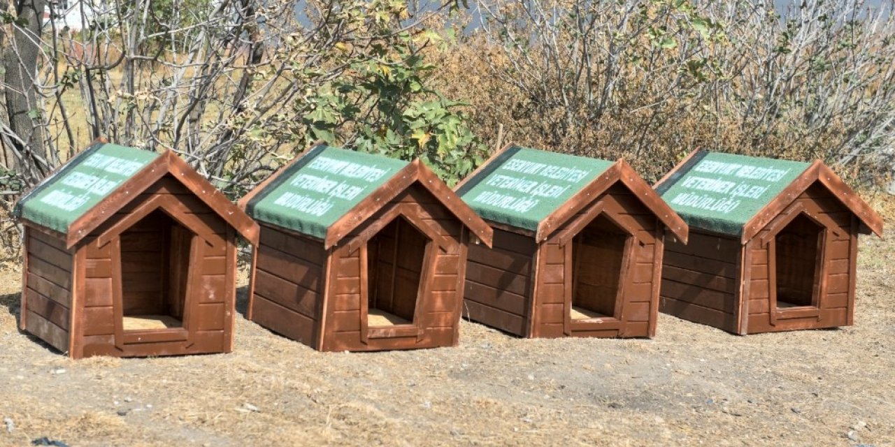 Esenyurt Belediyesi hayvan dostlarını unutmadı