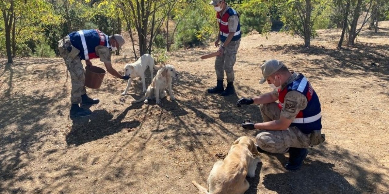 Elazığ’da jandarmadan 4 Ekim Hayvanları Koruma Günü etkinliği