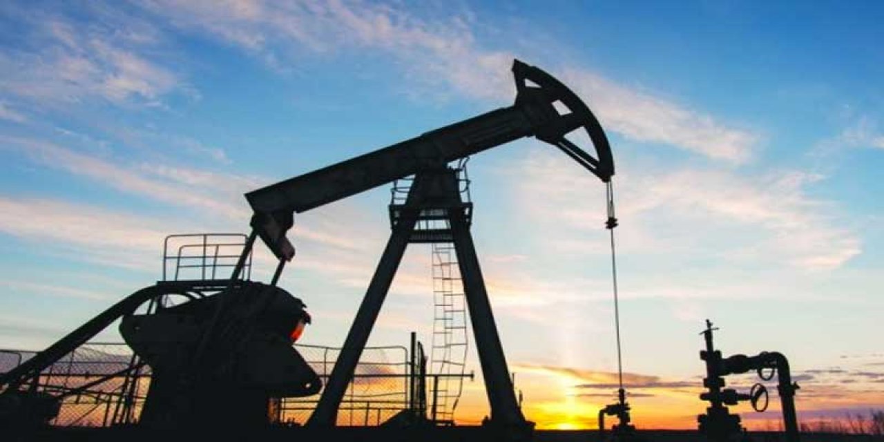 Türkiye Petrolleri'nden yeni arama başvurusu!