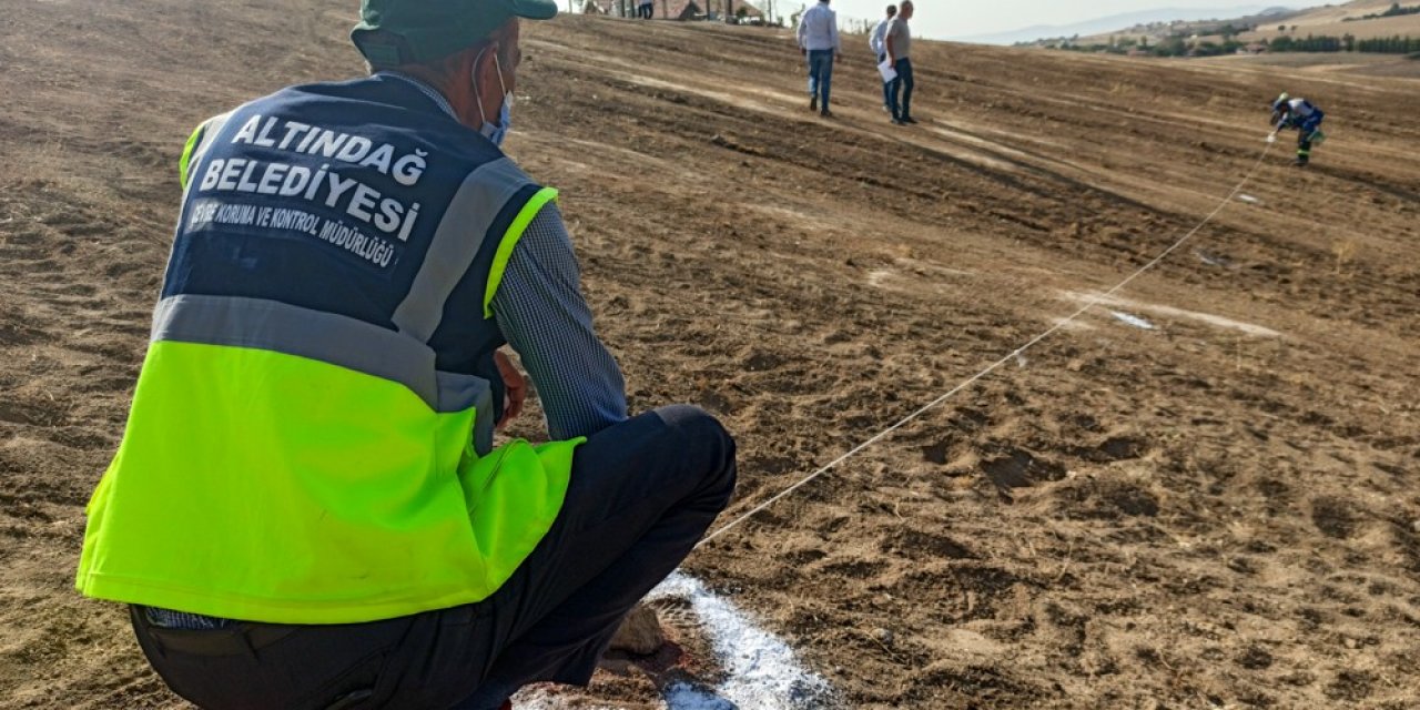 Ankara’ya 150 bin metrekarelik ıhlamur ormanı kuruluyor