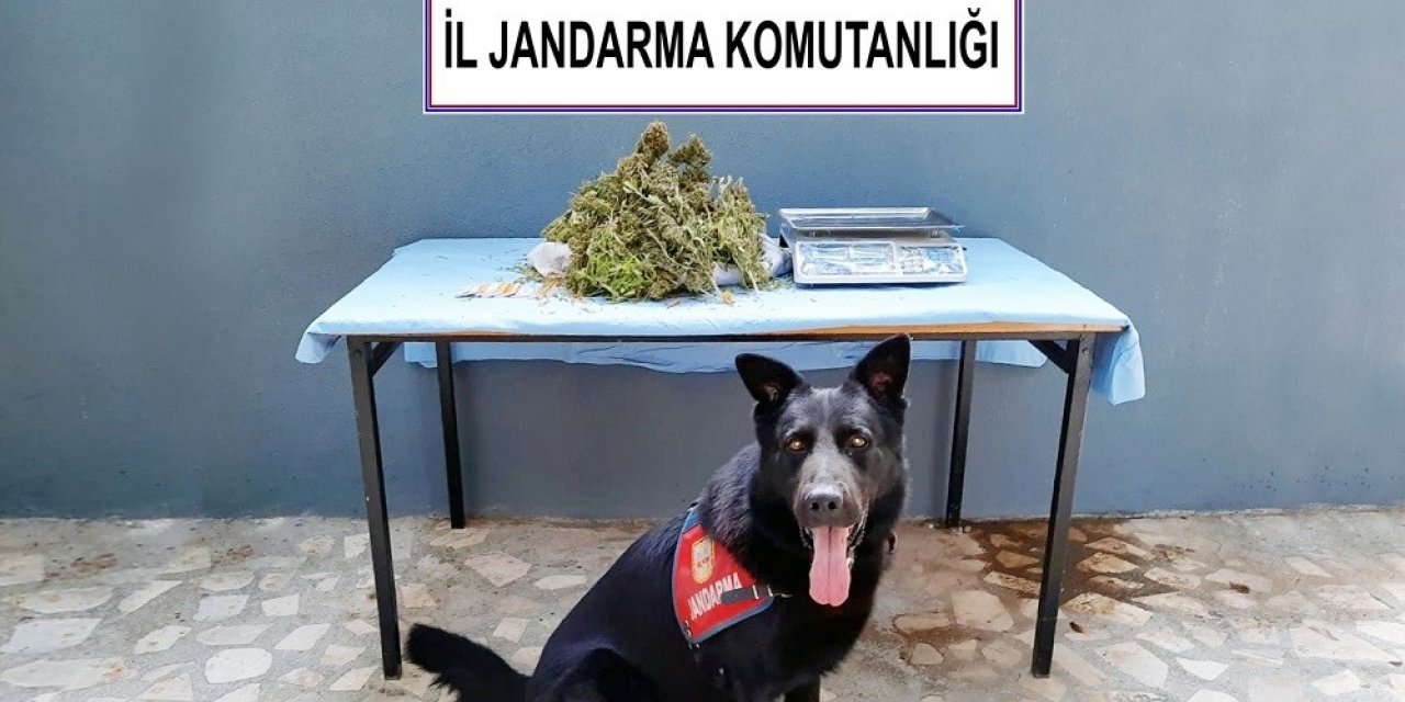 Feke’de uyuşturucu operasyonu