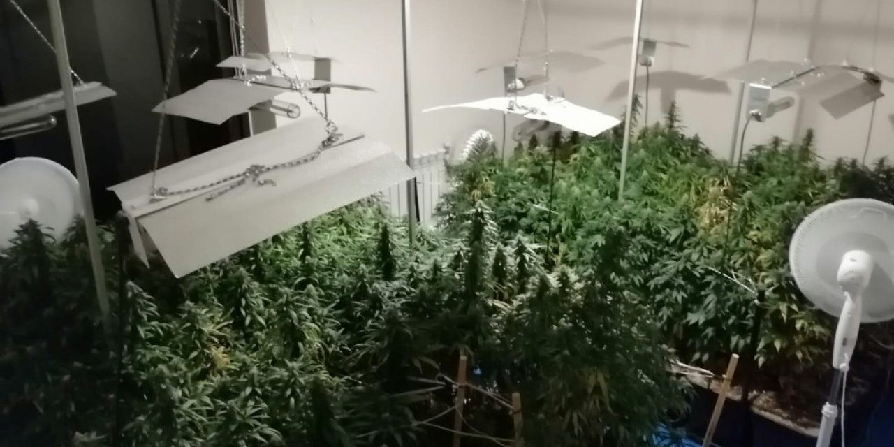Uyuşturucu yetiştirmek için evi laboratuvara çevirmiş