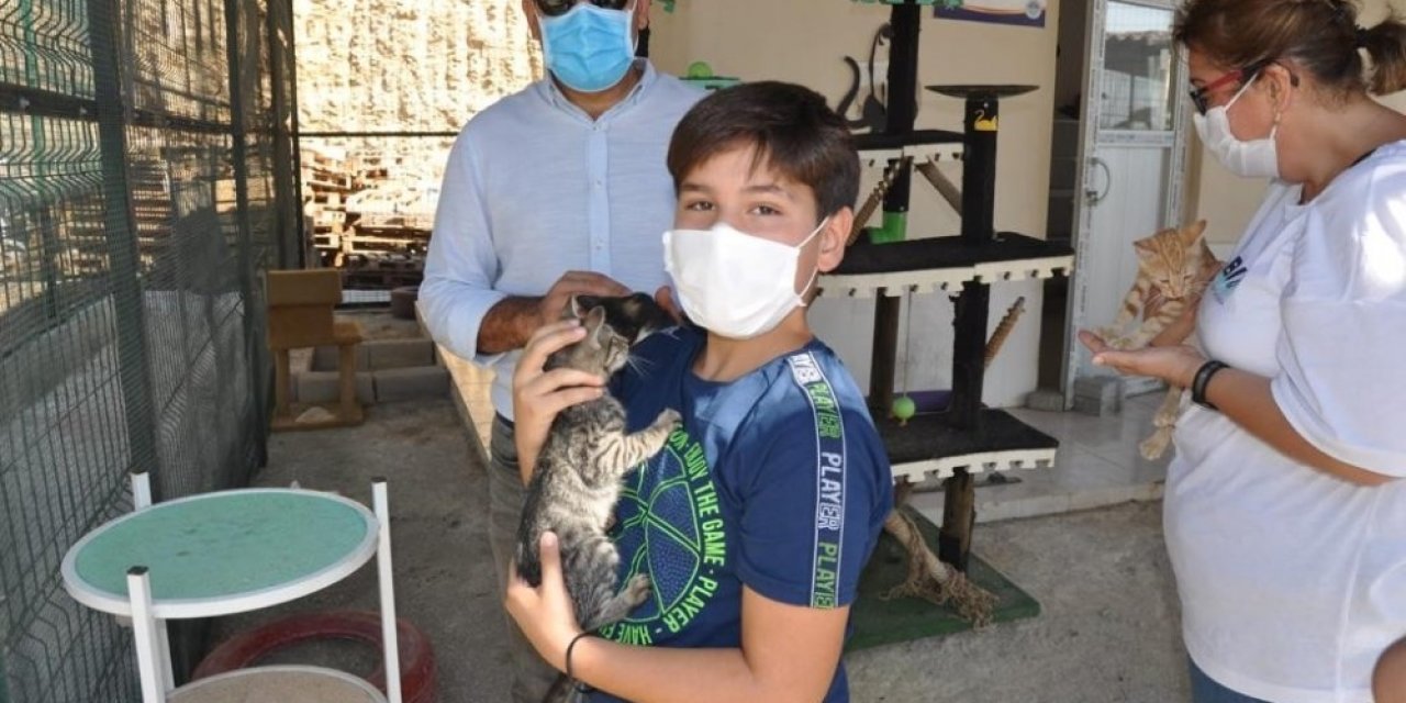 Mersin’deki hayvan barınağında 31 hayvan sahiplendirildi