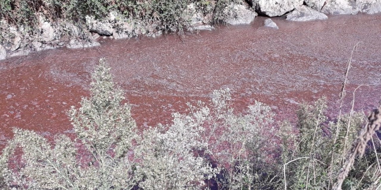 Bursa Kocasu deresinde çevre felâketi