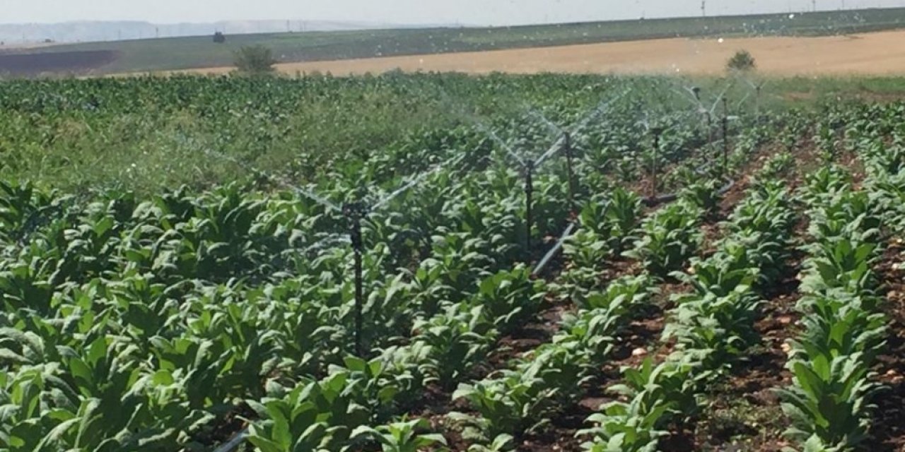 Samsat’ta araziler sulanıyor