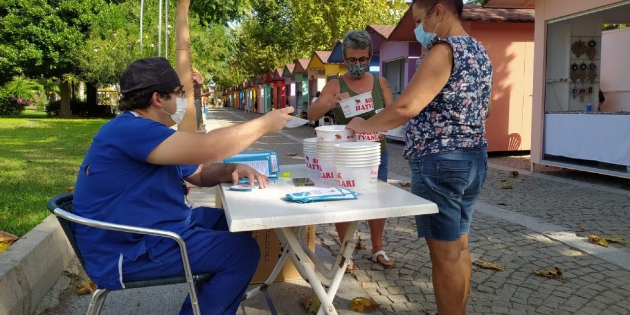 Kemer Belediyesi sokak hayvanları için mama kabı dağıttı