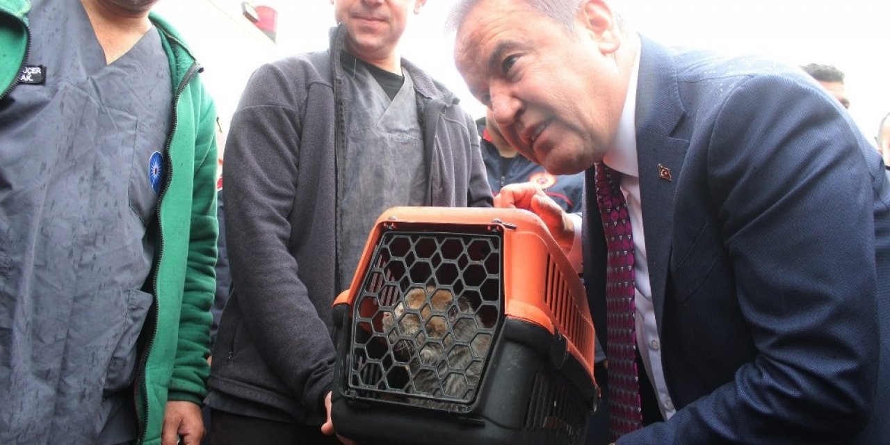 Altın Portakal’ın en sevimli akreditesi