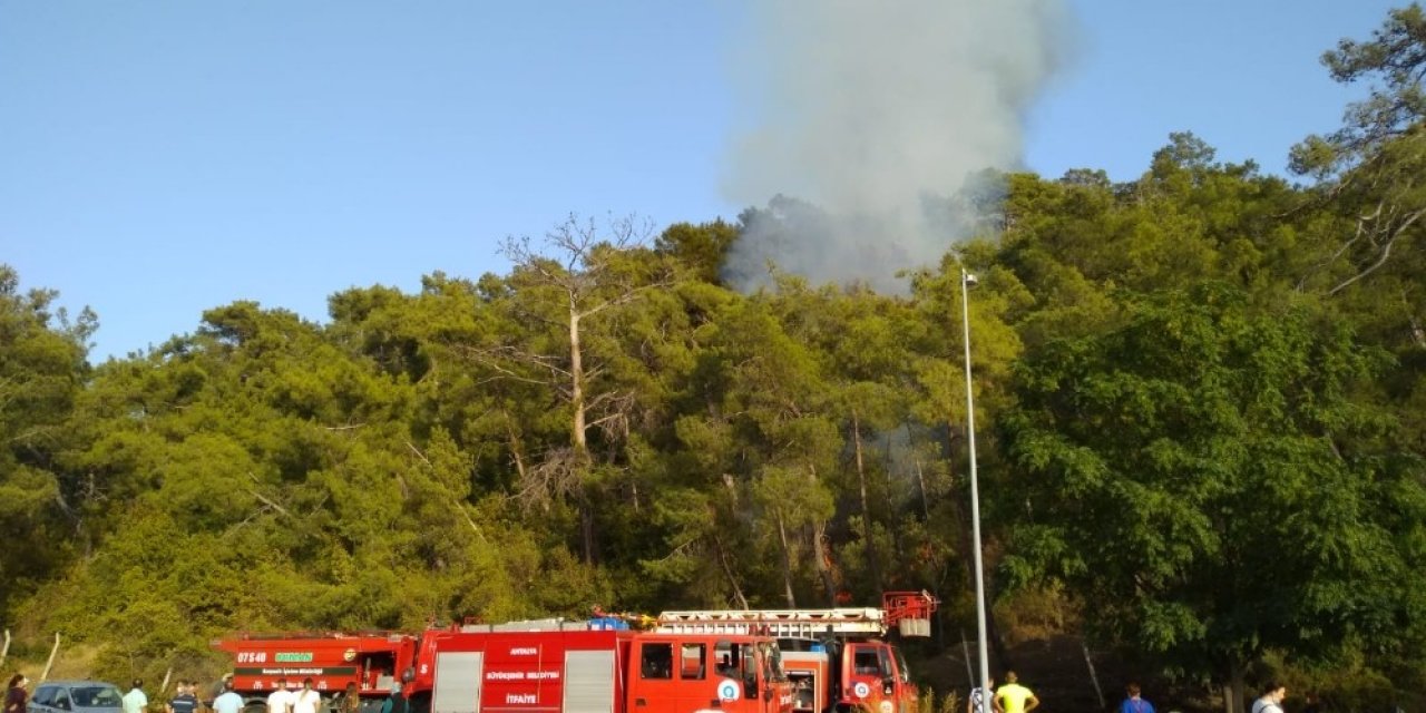 Antalya’da orman yangını