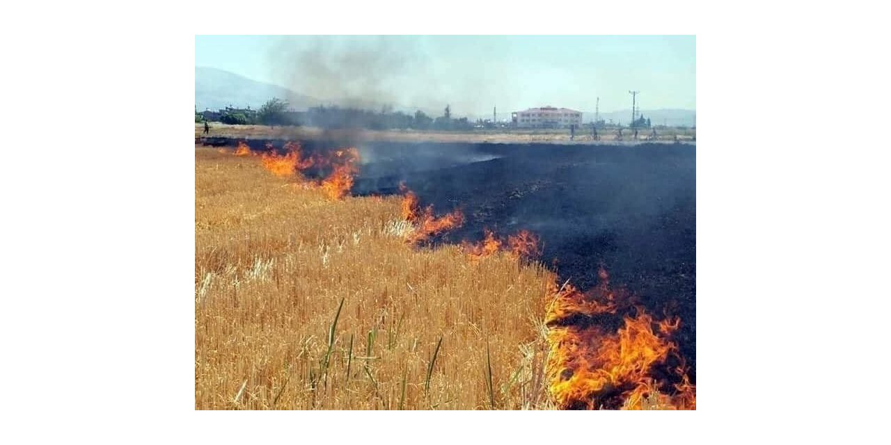 Anız yangınları kuraklığı tetikliyor