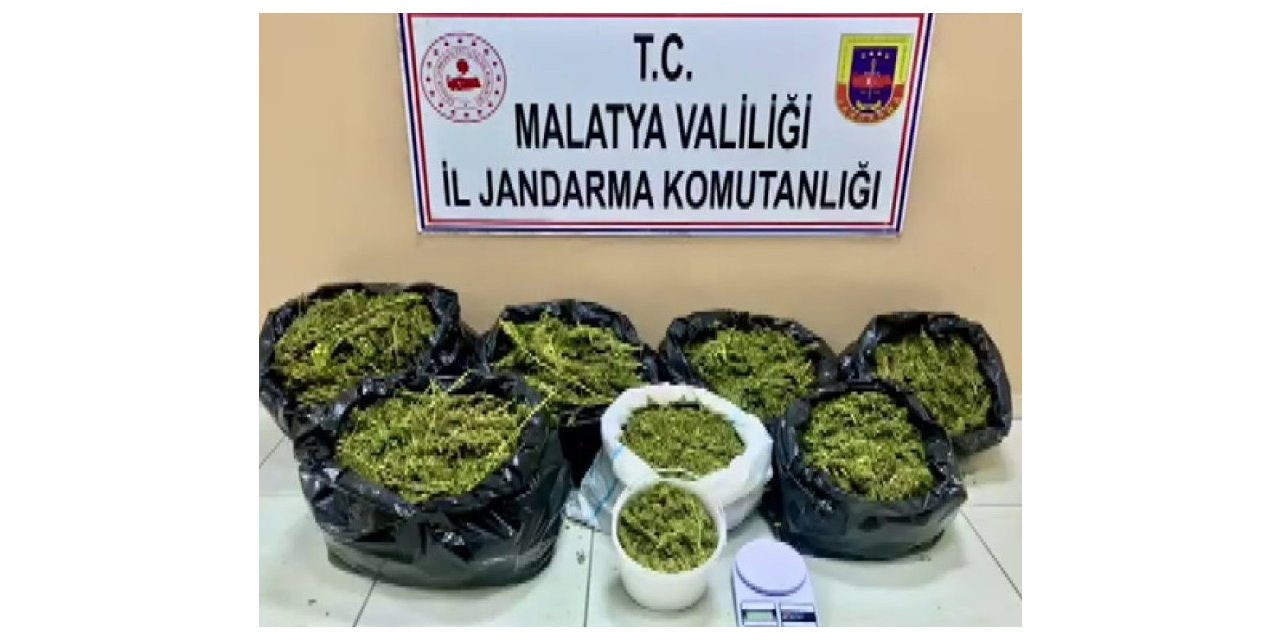 Çatıyı esrar üretim üssüne çevirmişler