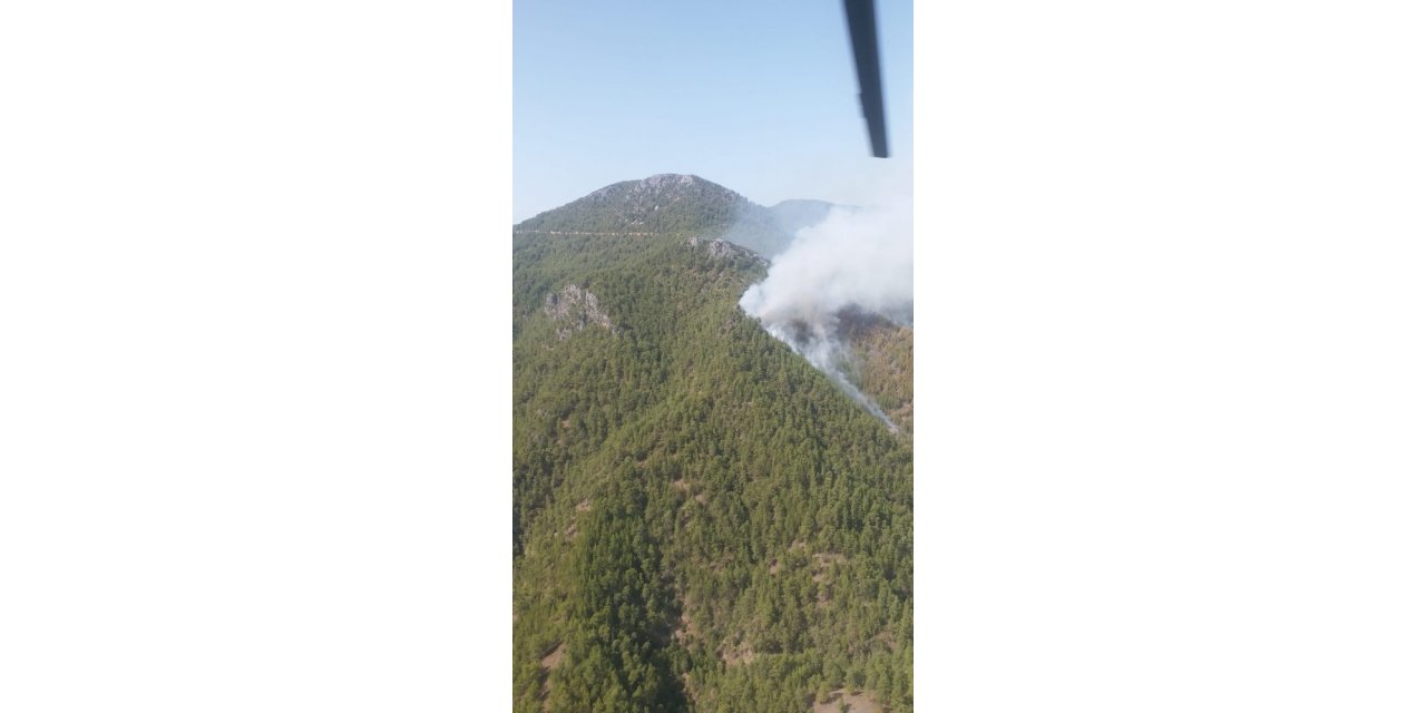 Gündoğmuş’ta orman yangını