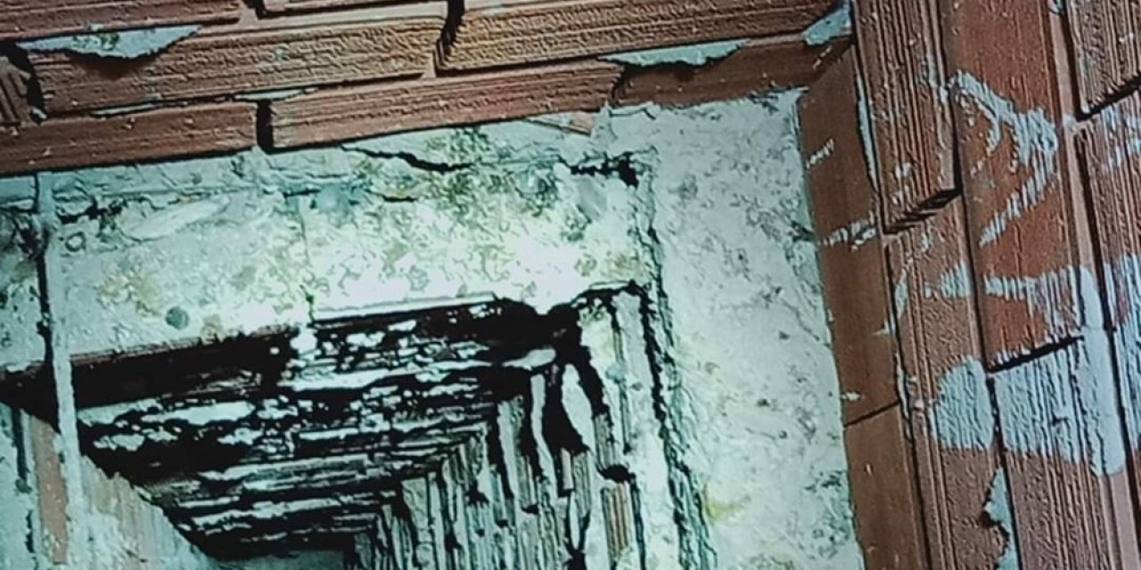 DAK ekiplerinden kuş kurtarma operasyonu