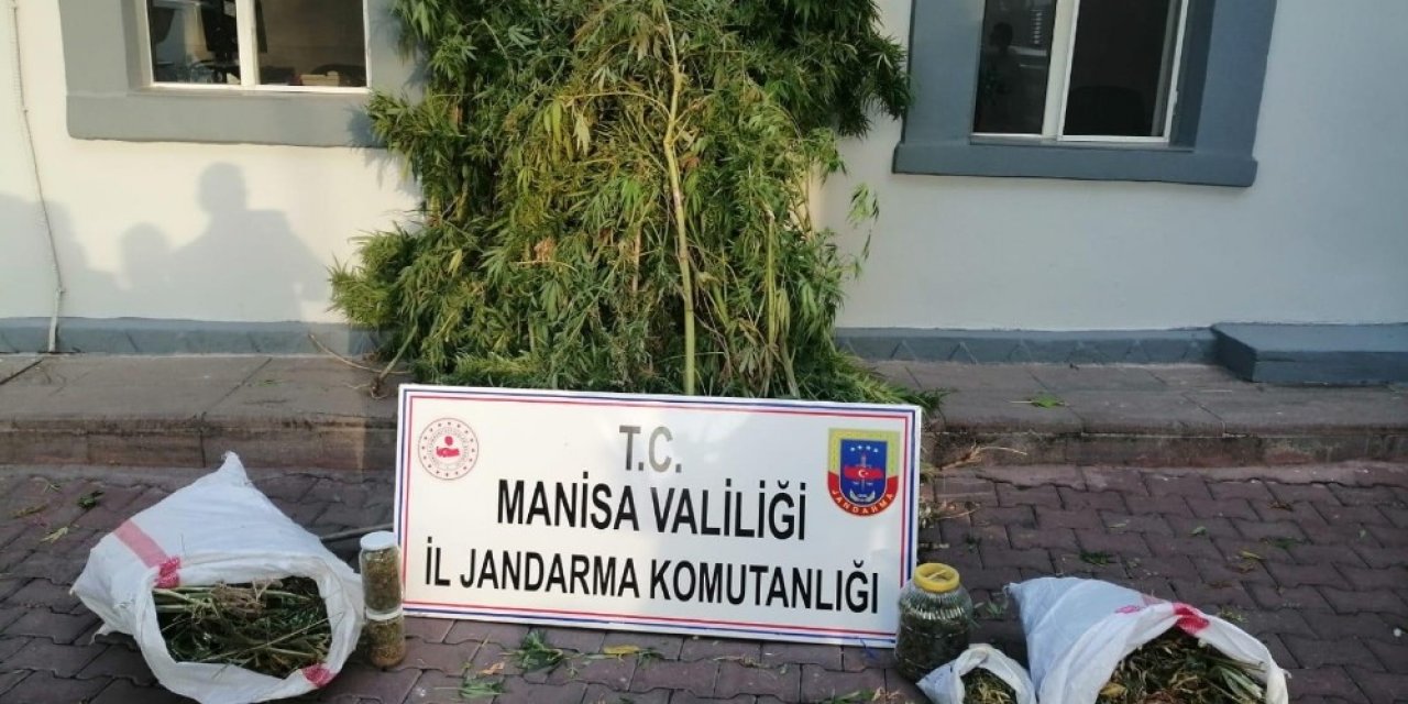 Manisa’da uyuşturucu operasyonu
