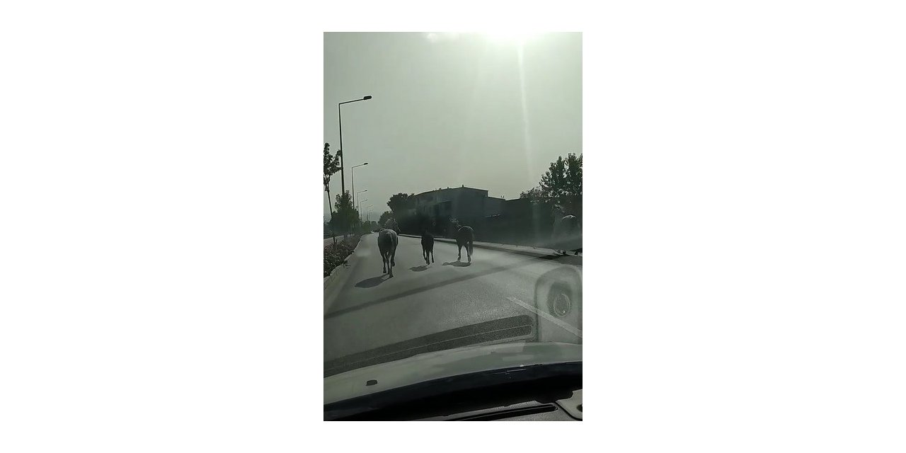 Veliefendi değil Bursa caddeleri