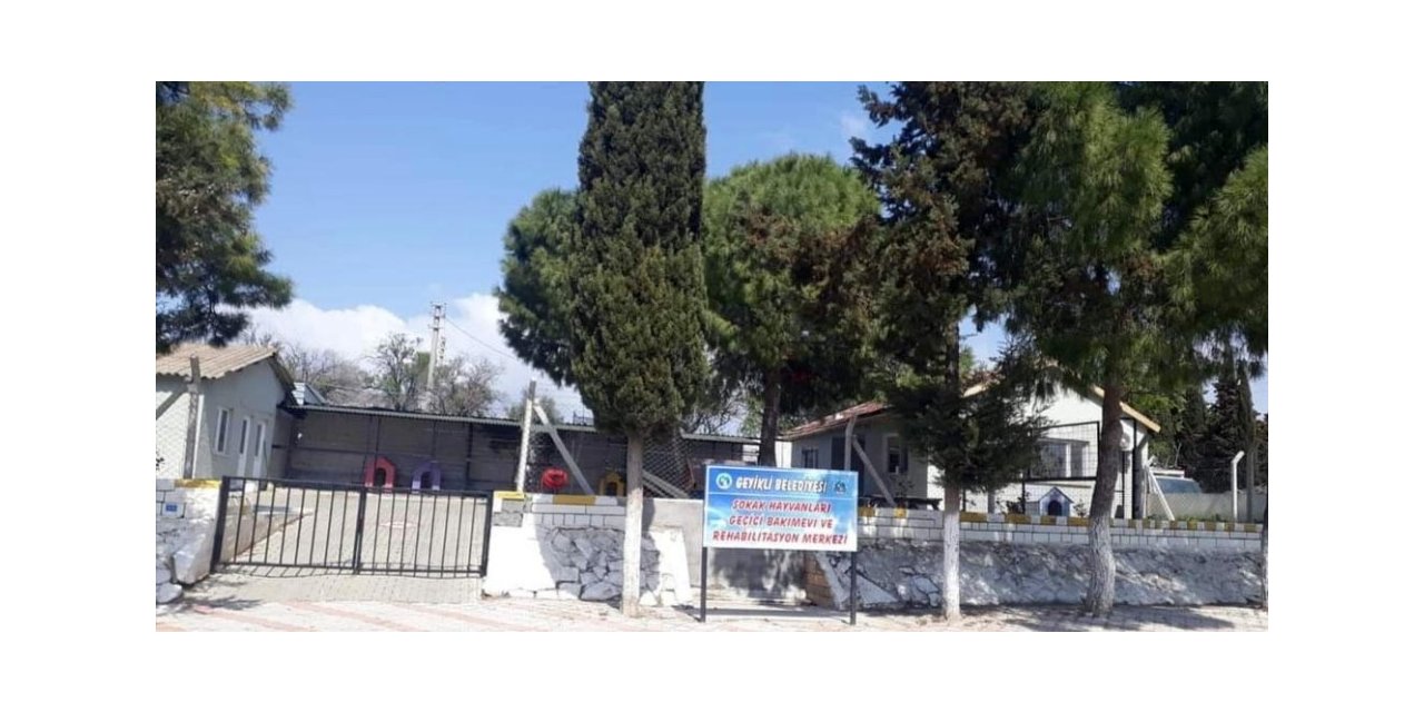 Ünlü komedyen Ata Demirer’den hayvanseverlere çağrı