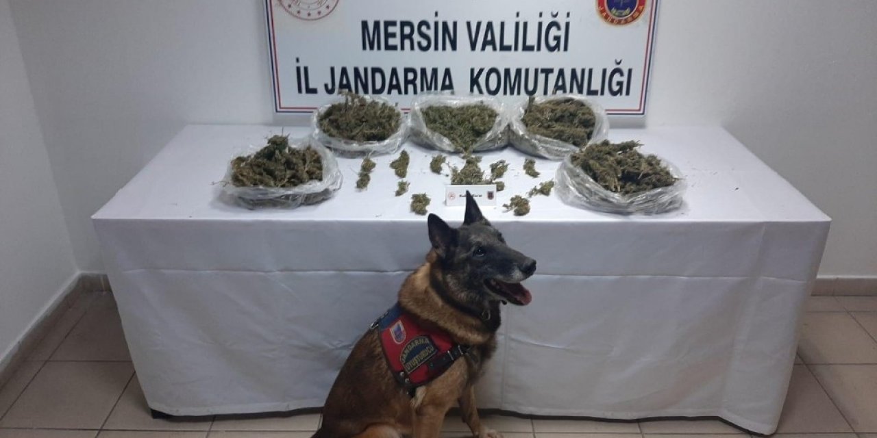 Mersin’de uyuşturucu operasyonu