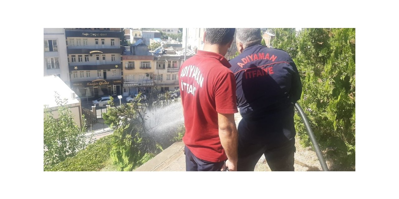 Yanan ağaç itfaiye ekiplerince söndürüldü