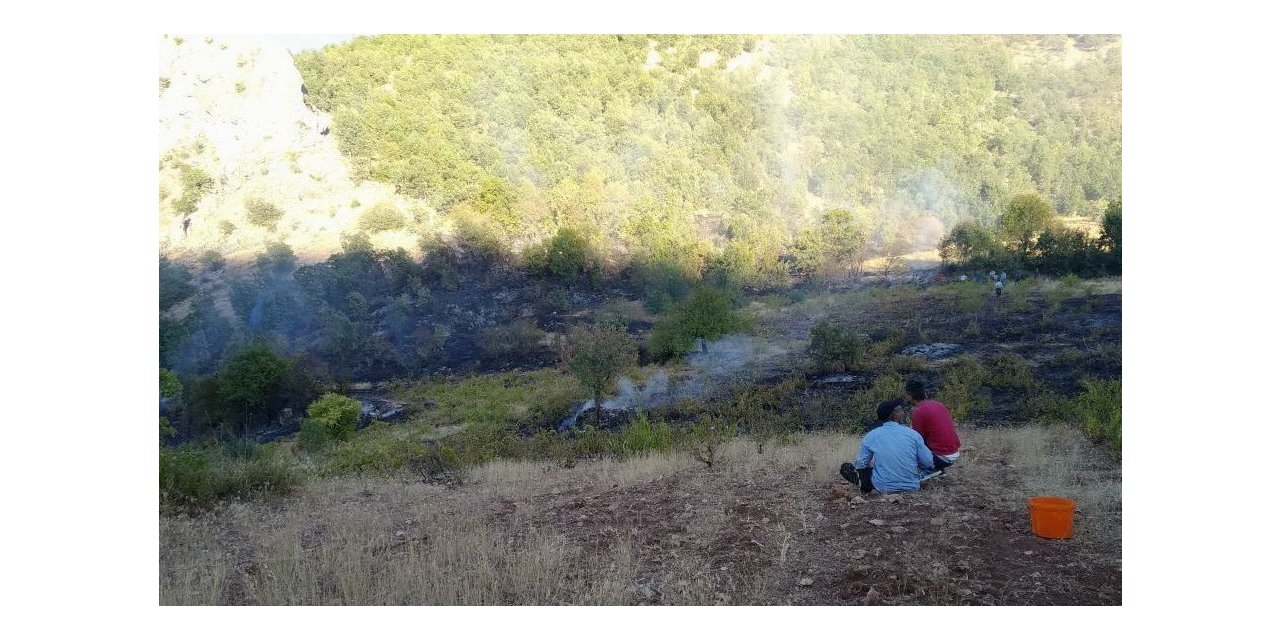 Adıyaman’da orman yangınına itfaiye müdahale etti