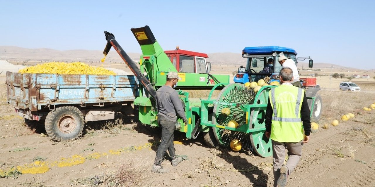 Talas’ın tarıma desteği artarak devam ediyor