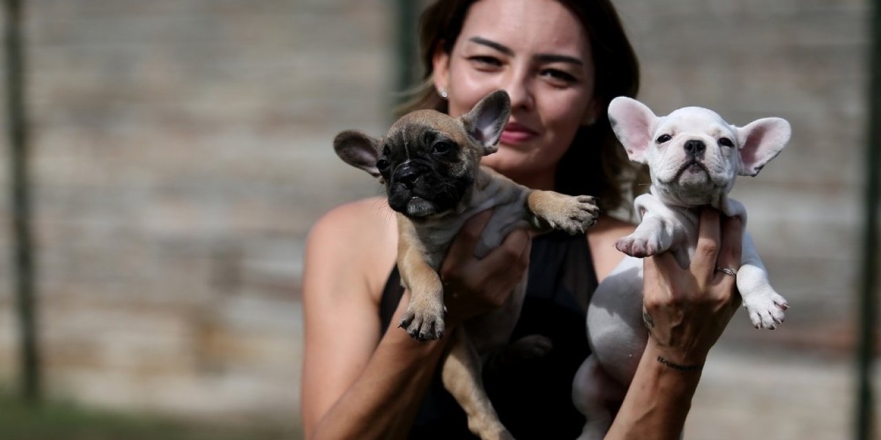 Evcil hayvanlar salgında en yakın arkadaş oldu