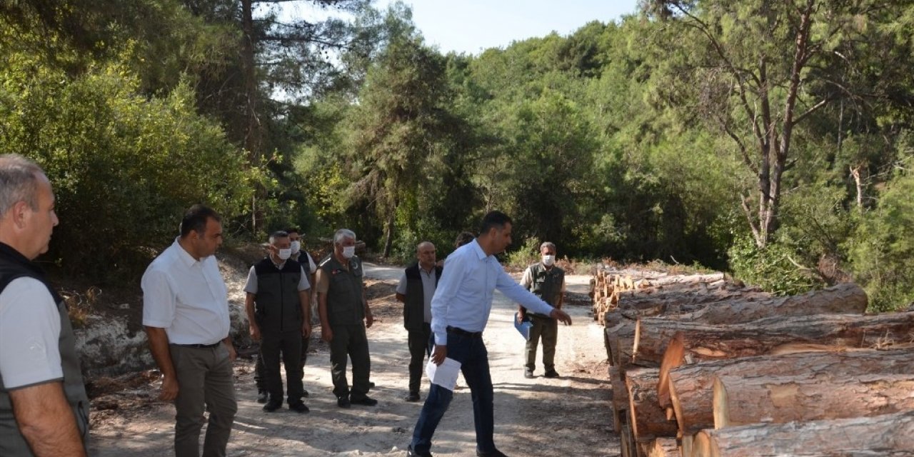 Orman Bölge Müdürü Akduman’dan Mersin ormanlarında inceleme