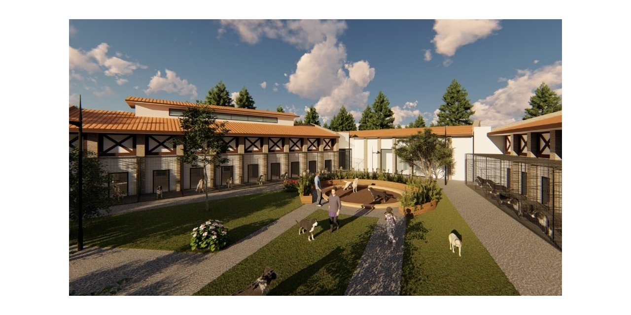 Sokak hayvanları için dev proje