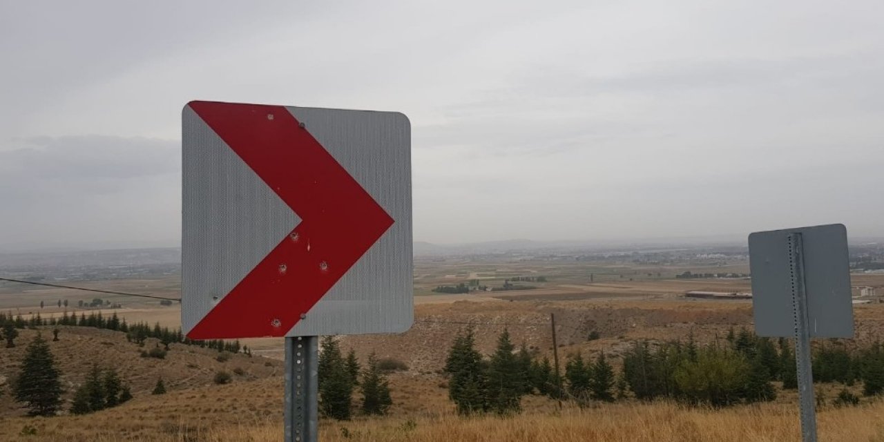 Trafik levhasını atış poligonu olarak kullanıyorlar
