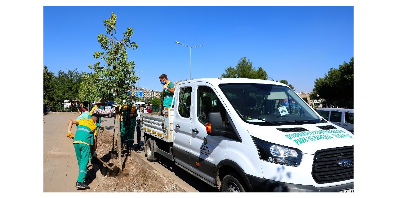 Diyarbakır’da cadde  yeşillendirme çalışmaları