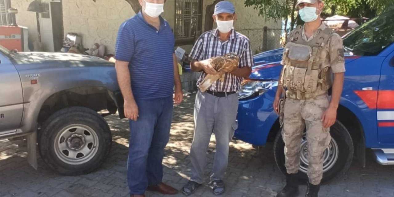 Yaralı şahin ekipleri teslim edildi
