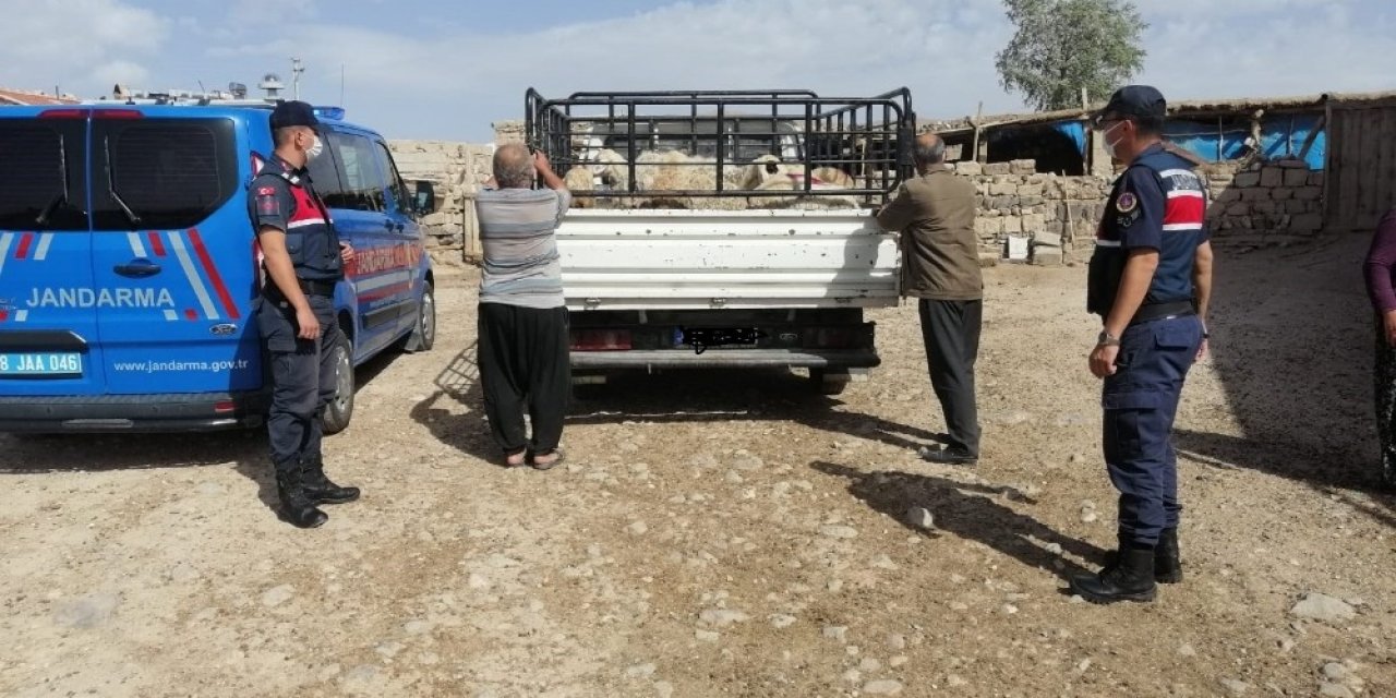Küçükbaş hayvanları alıp kaçan şahıslar yakalandı