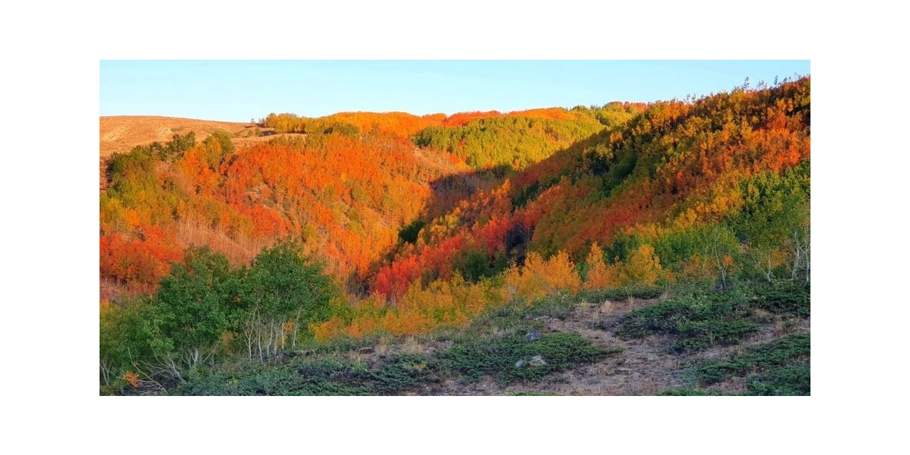 Nemrut Krater Gölünde sonbahar güzelliği
