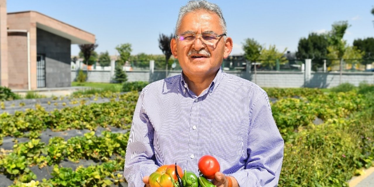 Hobi bahçelerinin kullanım hakkı 1 yıl uzatılacak