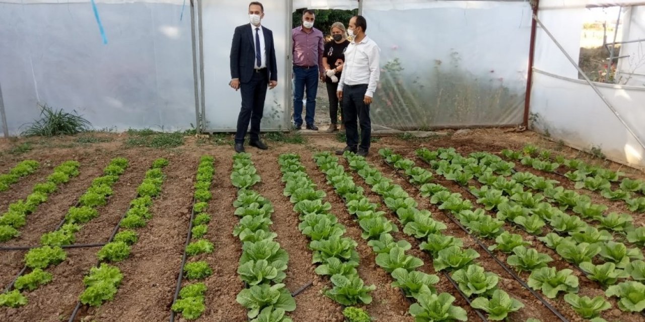 Yeşil gıda seracılıkta kış dönemi ürün çeşitliliği artırıldı