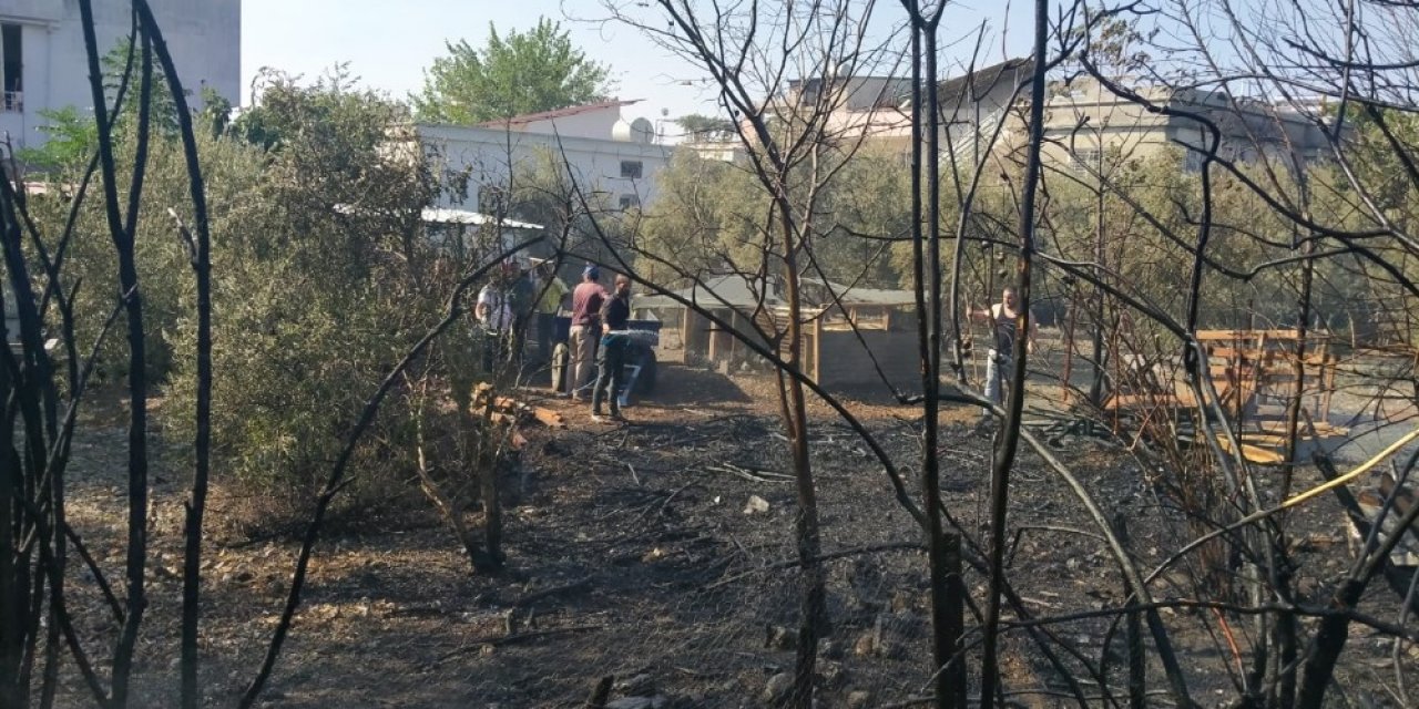 Erzin’de çıkan yangın evlere sıçramadan söndürüldü