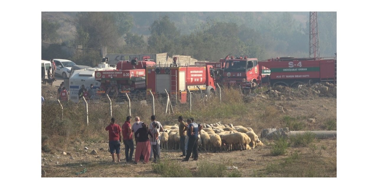 Hatay’da orman yangını yerleşim yerlerini tehdit ediyor