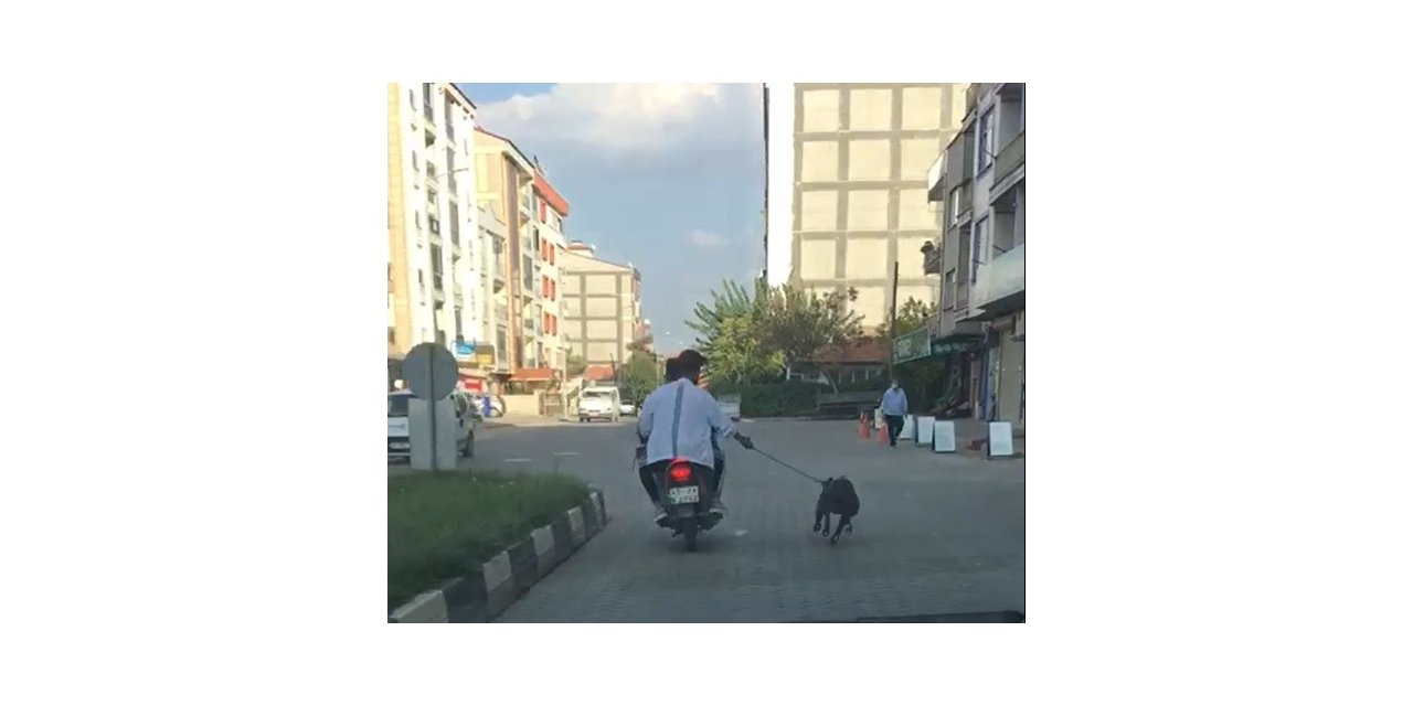 Manisa’da pes dedirten görüntü
