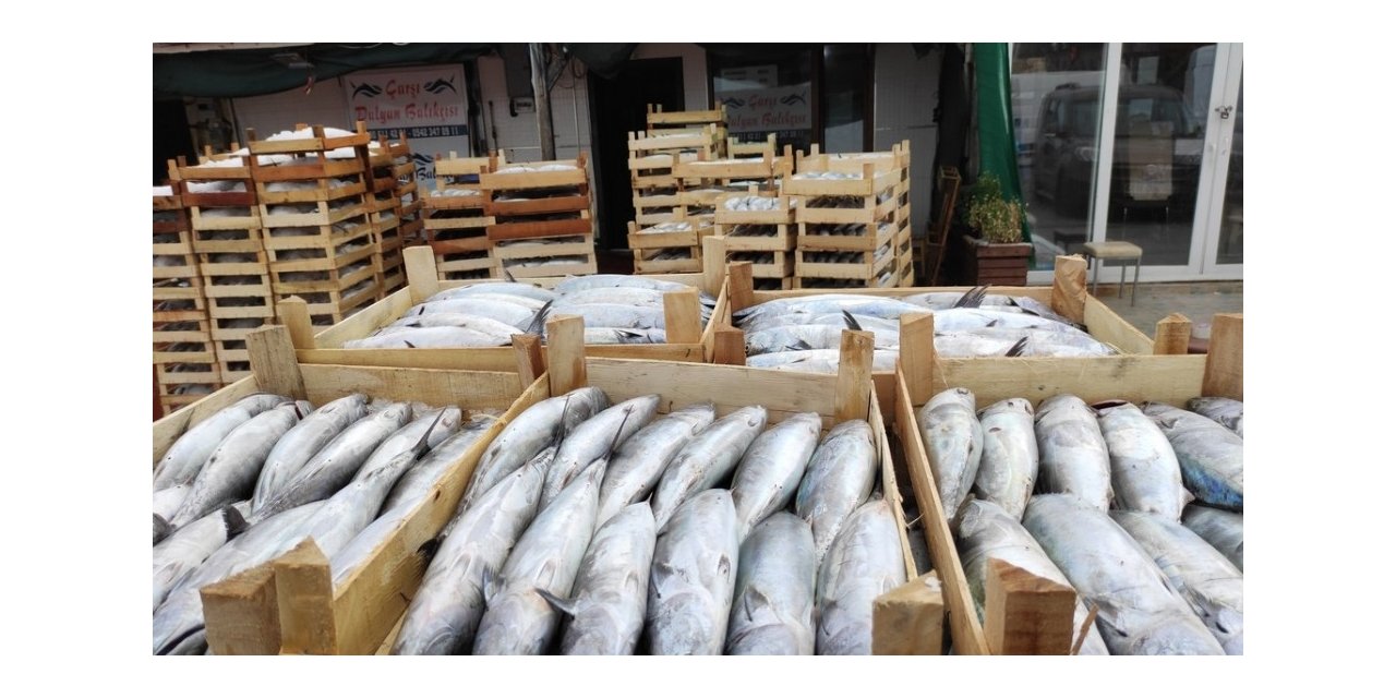 Su ürünleri denetimleri yapılıyor