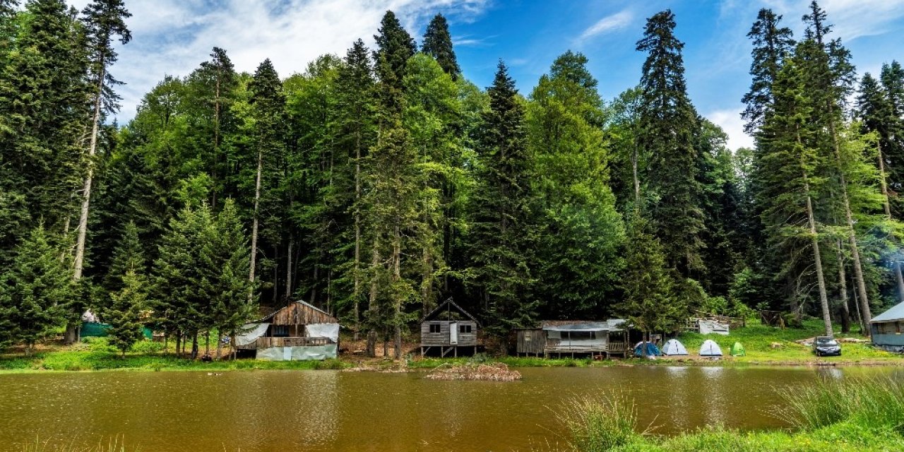 Kampçılar Pürenli yaylasını tercih etti