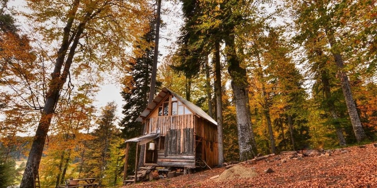 Düzce’nin yaylaları doğasever ve fotoğraf tutkunlarını bekliyor