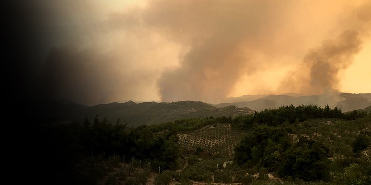 Suriye'deki orman yangınları 3 gündür durdurulamadı