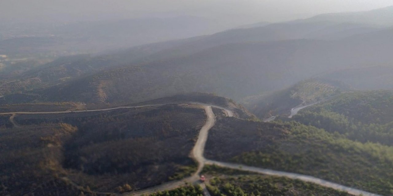 Hatay’da yangını soğutma çalışmaları sürüyor