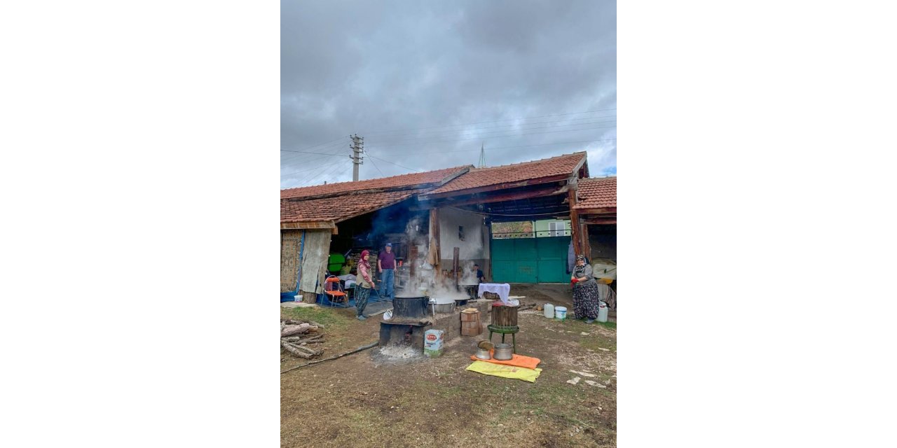 İdrisyayla’nın meşhur pekmezi yapılmaya başlandı