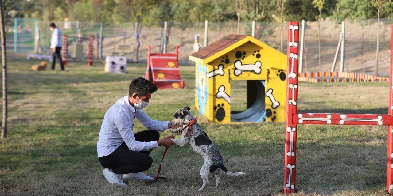 ‘Pati Yolu’na hayvan severlerden tam not