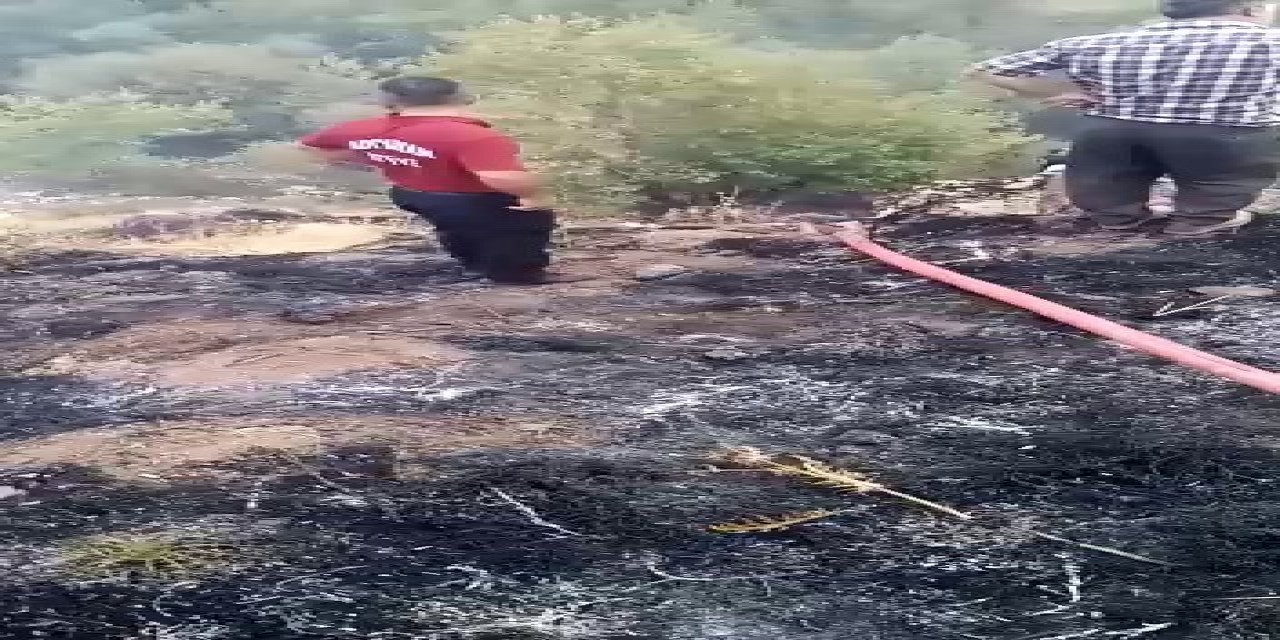 Adıyaman’da orman yangını korkuttu