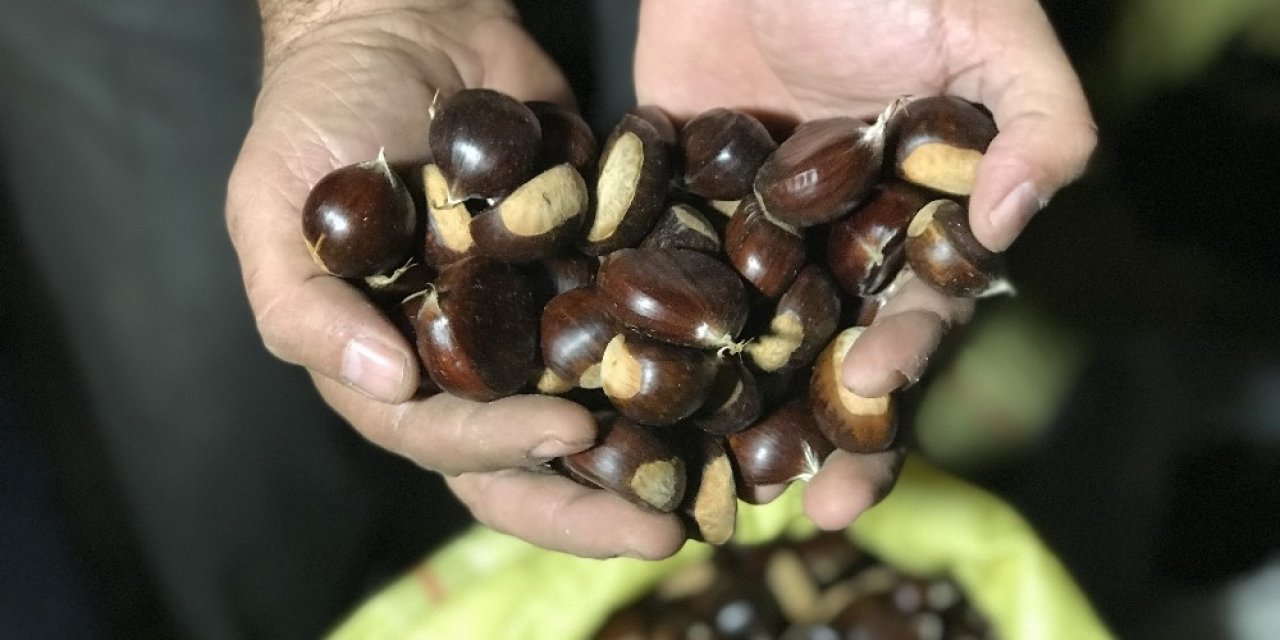 Türkiye’nin kestane pazarı kebapçılarla dolup taşıyor