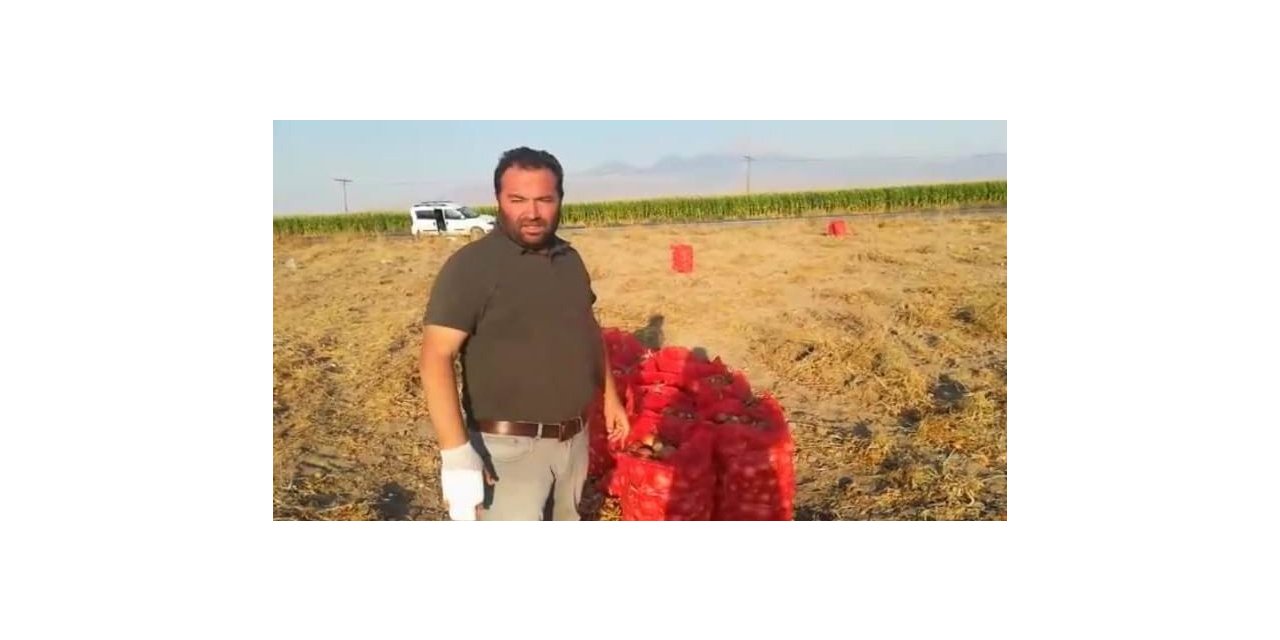 Yeşilhisar’dan Çorum soğanına rakip çıktı