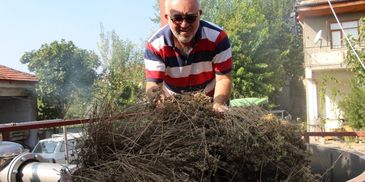 Korona virüsle mücadelede doğal dezenfektan: Kekik suyu